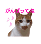 もんちゃんのスタンプ 日常編（個別スタンプ：2）
