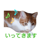 もんちゃんのスタンプ 日常編（個別スタンプ：4）