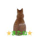 もんちゃんのスタンプ 日常編（個別スタンプ：12）