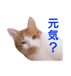 もんちゃんのスタンプ 日常編（個別スタンプ：14）