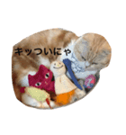スコにゃんのかわいいスタンプ（個別スタンプ：6）