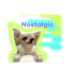 わんわんつぶやきイングリッシュ1（個別スタンプ：23）