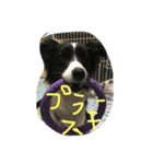 くれあらぶ（個別スタンプ：5）