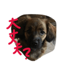 友（個別スタンプ：8）