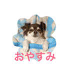 胡桃スタンプ（個別スタンプ：3）