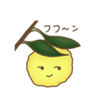 Citrus junos（個別スタンプ：23）