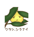 Citrus junos（個別スタンプ：27）