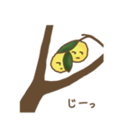 Citrus junos（個別スタンプ：32）