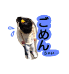 めんこいめいこ2（個別スタンプ：14）