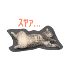 かつみれ Ver.001（個別スタンプ：3）