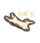 かつみれ Ver.001（個別スタンプ：4）