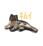かつみれ Ver.001（個別スタンプ：8）