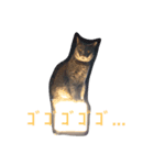 かつみれ Ver.001（個別スタンプ：9）