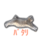かつみれ Ver.001（個別スタンプ：11）