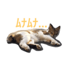 かつみれ Ver.001（個別スタンプ：12）