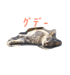かつみれ Ver.001（個別スタンプ：14）