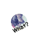 My dog perfume 2（個別スタンプ：6）