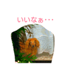 M.ダックス クリームのひとこと（個別スタンプ：20）