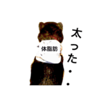 柴犬2と仲間達（個別スタンプ：16）