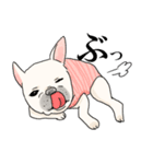my dog karuta sticker（個別スタンプ：1）