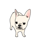 my dog karuta sticker（個別スタンプ：2）