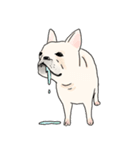my dog karuta sticker（個別スタンプ：3）
