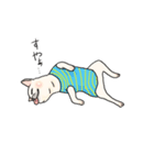 my dog karuta sticker（個別スタンプ：5）