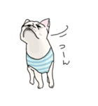 my dog karuta sticker（個別スタンプ：6）