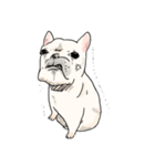 my dog karuta sticker（個別スタンプ：7）