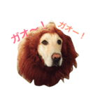 おっとりロビン君（個別スタンプ：7）