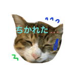 エステや飲み会のお誘い（個別スタンプ：1）