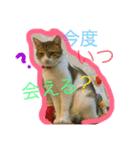 エステや飲み会のお誘い（個別スタンプ：2）