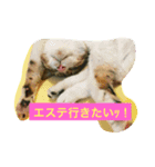 エステや飲み会のお誘い（個別スタンプ：4）