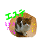 エステや飲み会のお誘い（個別スタンプ：5）