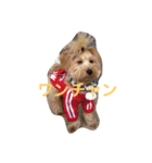 uchinoinu（個別スタンプ：6）