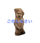 uchinoinu（個別スタンプ：8）