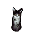 猫とかぶりもん（個別スタンプ：6）