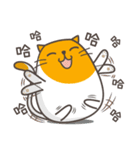 Happy egg cat（個別スタンプ：5）