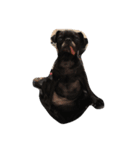 お犬のスタンプ（個別スタンプ：1）
