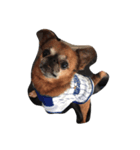お犬のスタンプ（個別スタンプ：4）