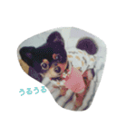 オールスター（個別スタンプ：21）