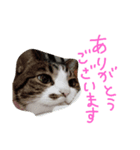 山さん家の天使たち（個別スタンプ：1）