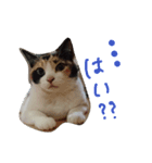 山さん家の天使たち（個別スタンプ：2）