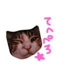 山さん家の天使たち（個別スタンプ：6）