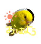 うちの子02（個別スタンプ：1）