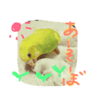 うちの子02（個別スタンプ：3）