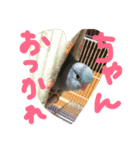 うちの子02（個別スタンプ：4）