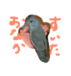 うちの子02（個別スタンプ：6）