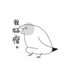 Rude chichen！（個別スタンプ：9）