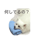 いぬのき・も・ち（個別スタンプ：1）